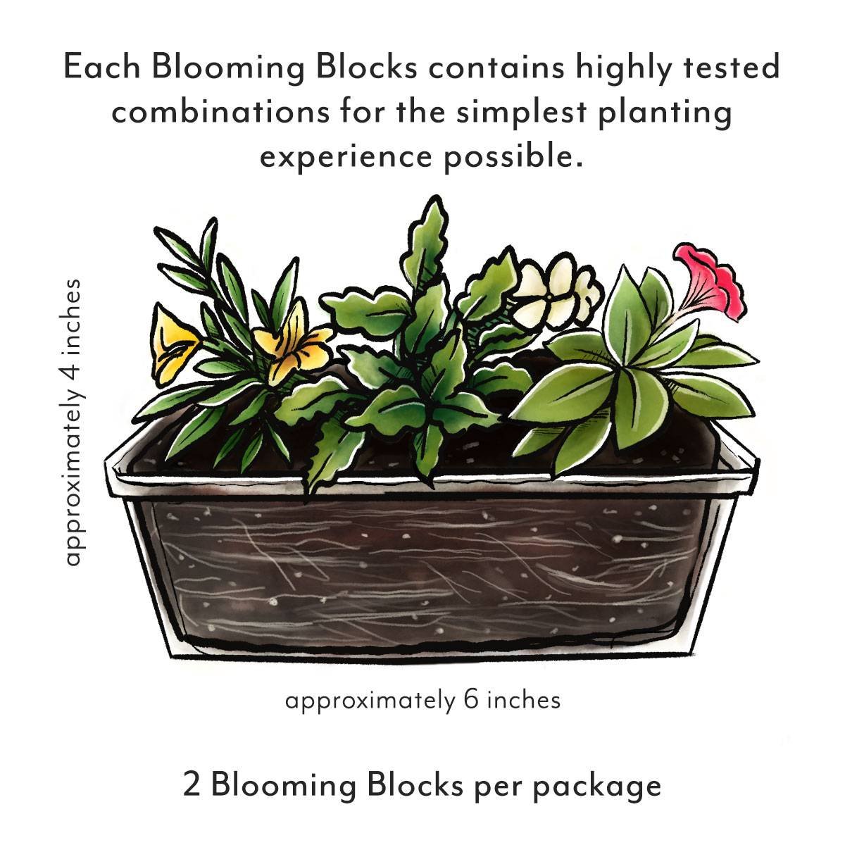 Blooming Block Drawing